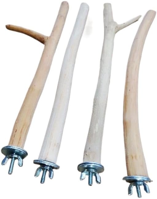 Kit 4 Poleiros Naturais de Goiabeira 30cm para Calopsita e Ringne...