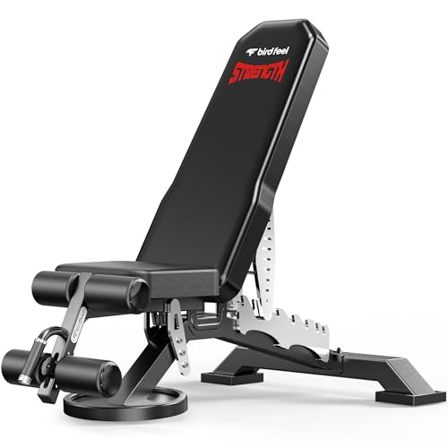 Heavy Duty Adjustable Weight Bench for Home Gym