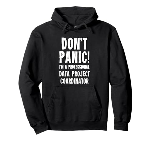 Koordinator für Datenprojekte Pullover Hoodie