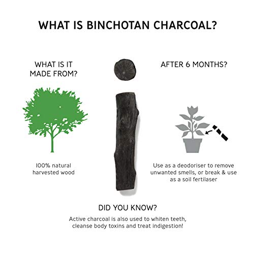 BLACK + BLUM EGG005, Borraccia Unisex-Adulto