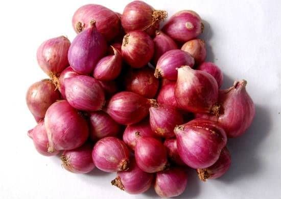 Zone Marketing Small Onian Seed / Chinna Vengayam Vidhai - 500 Seeds + 500g Compose Fertilizer (B0B8Z1W79N) Amazon Price History, Amazon Price Tracker