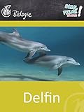  Delfin - Schulfilm Biologie