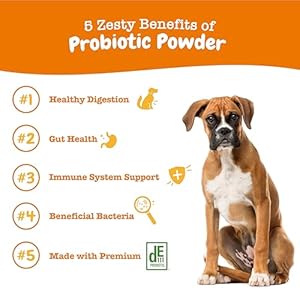 Zesty paws probiotic powder meal topper for digestive immune system support premium de111 probiotic for healthy canine gut flora inulin fiber yeast extract pumpkin flavor 30 ct  urban country home decor