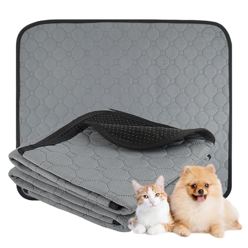 2 Stück Welpenunterlagen Waschbar, 60 × 50cm Hundedecke Wasserdicht Antirutsch, Super Saugfähig PIPI Matten für Hunde, Wiederverwendbare Hundetrainingspads, Hundematte für Boden Sofa Auto Reisen