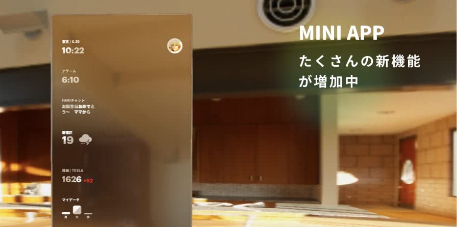 Amazon.co.jp: LANNO フィットネスミラー, ホーム スポーツ 