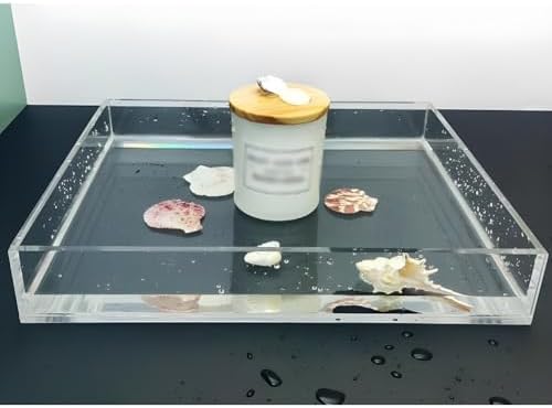 Transparent Acrylic Shallow Sink Water Tank - Photography Props Tray, Portable Display Box for Food & Cosmetics Storage (100x100x6cm)