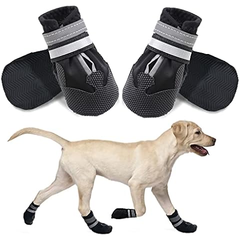 Bottes Dricar pour Chien Cover