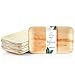 Wiseware Palmblatt Teller - 25 Stück Einwegteller rechteckig 24 x 15 cm- biologisch abbaubares Palmblattgeschirr - kompostierbares Partygeschirr - Bio Einweggeschirr