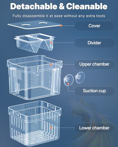Pawfly Aquarium Fischzuchtbox Transparente Plastikzuchtbox für Fischbecken Brutkasten Brutkasten für Babyfische Garnelen Kleine Isolationsbox für Aggressive Fische Guppy