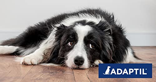 Ceva ADAPTIL Chews für Hunde | Doppelpack | 2 x 30 Kautabletten | Ergänzungsfuttermittel für Hunde das in Stresssituationen unterstützend wirken kann | Kautabletten im Blister