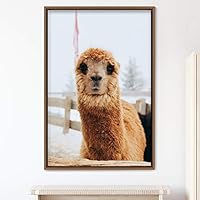 Framed Canvas Wall Art Llama Animals Camels Expressive Farmhouse/Country Living Room Multicolor Photography - 16x24 inches