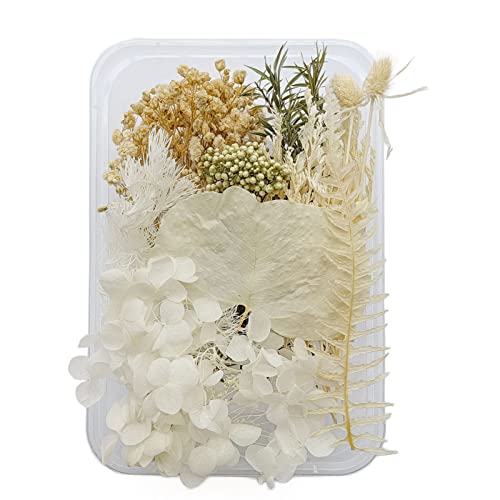 Bouquet de Flores Secas Tyenaza para Decoración