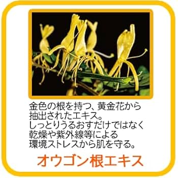 Amazon | ポーラ [アロマエッセゴールド] モイスチャー