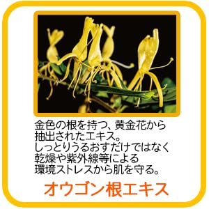 Amazon | ポーラ [アロマエッセゴールド] モイスチャーローション 業務