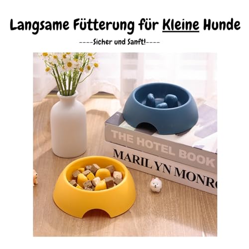 Antischlingnapf für Kleine Hunde, Anti Schling Napf Hund/Katze,Hundenapf, Katzennapf, Katzen/Katzenfutter Napf(Grün)