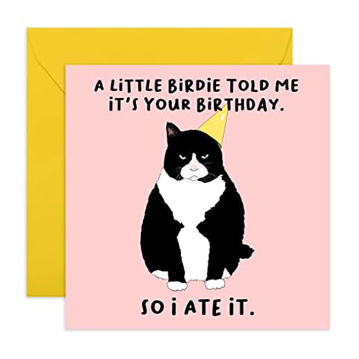 Central 23 - Tarjeta de cumpleaños graciosa - Feliz cumpleaños para amigos - Diseño divertido - Tarjeta de felicitación de gato - Viene con pegatinas divertidas