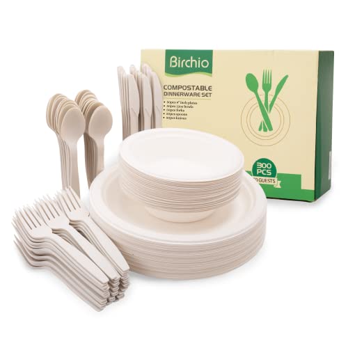 Biodegradable Paper Plates & Utensils Set (250 Pieces)