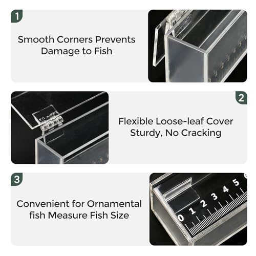 Image of Fish Viewing Box,Acrylic Fish Breeding Box,Fishing Photo Tank,Hatching Boxes, Clear Micro Landscape Fish Tank with Scale