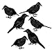 Produktbild 6 Pcs Halloween Krähe Dekoration Set, Rabe Dekor Halloween Gefälschte Krähe Requisiten für Schreibtische, Bäume, Wände und Fenster, Halloween Indoor Outdoor Party Dekorationen, Spukhaus Dekorationen