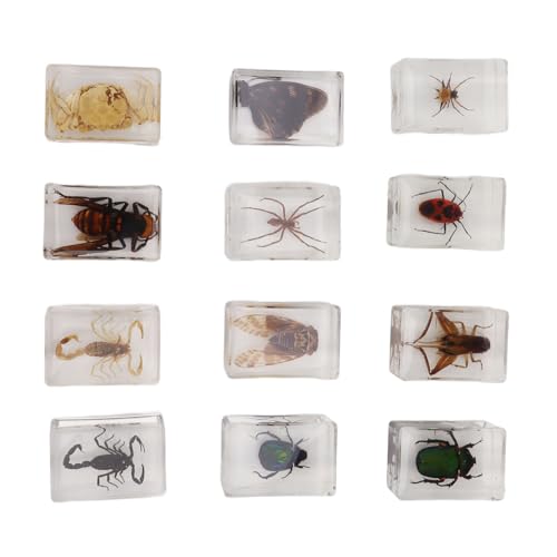 Generic Especímenes de Insectos de Resina 1:1, Conjunto de Especímenes de Gusanos Reales con 12 Regalos Científicos Hechos a Mano para Niños, Colección de Monstruos