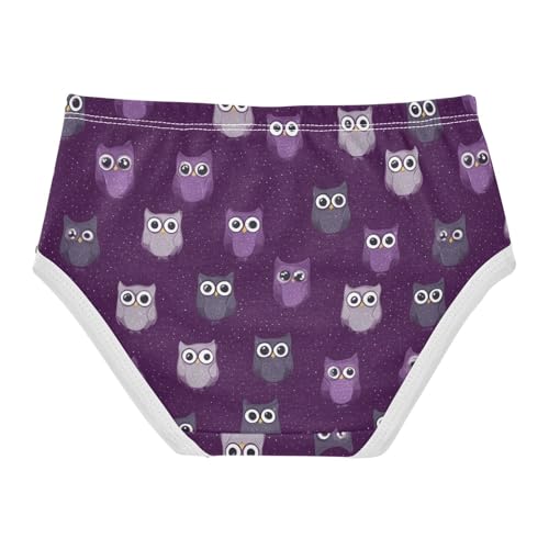 Wusikd Cute Owls Girls' Underwear Cotton Girls Briefs Soft Toddler Underwear 2T2