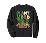 Piante Da Appartamento Giungla Da Interno Amante