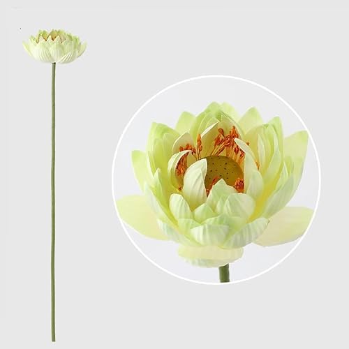 JUAKSQZYI Fake Flowers Simulation Lotus Lea Lifelike Water Lily Buds Ornaments Silk Artificial Flower Lotus Seedpod Household(Color19)
