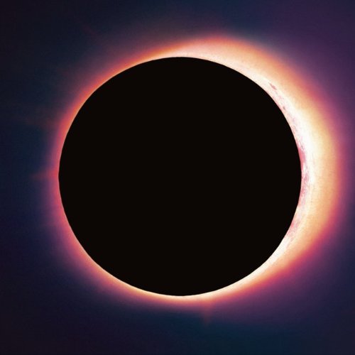 No Room For Light [Audio CD] Fevers