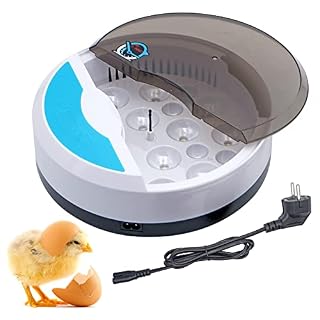 BREUAILY mini incubateur 9 œufs, affichage LED, 24 x 24 cm