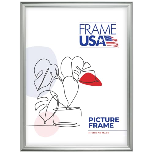 Frame USA 22x30 Picture Frame, Silver, Deluxe Series, Wall Hanging Frame with High Clarity Plexiglass