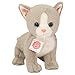 Produktbild Teddy Hermann 91841 Babykatze grau 24 cm, Kuscheltier, Plüschtier mit recycelter Füllung
