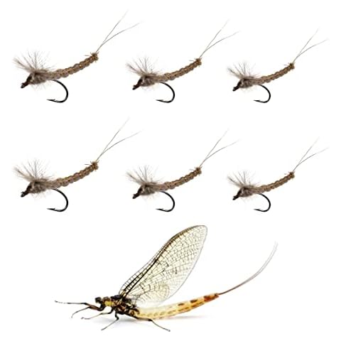 Brown Mayfly Dry Fly Fishing by EPOZZ Cover