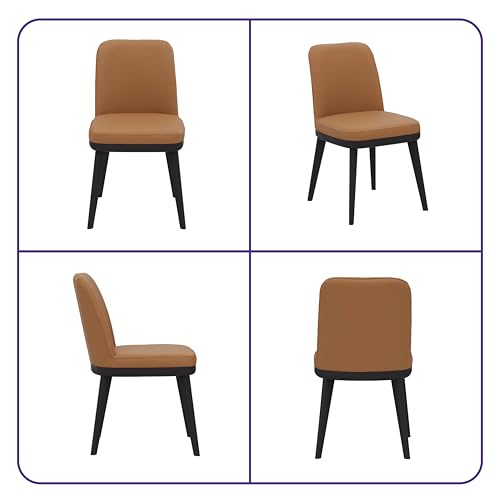 Image of Wakefit Arvia Dining Chair - Robin Tan
