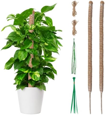 Moosstab für Monstera 2er-Set (je 60 cm) – Biegbare Rankhilfe für kleine & mittlere Pflanzen mit Aluminiumkern, Formbarer Kokosstab (Spirale/Herz), Moss Pole inkl. Bindeband-Set