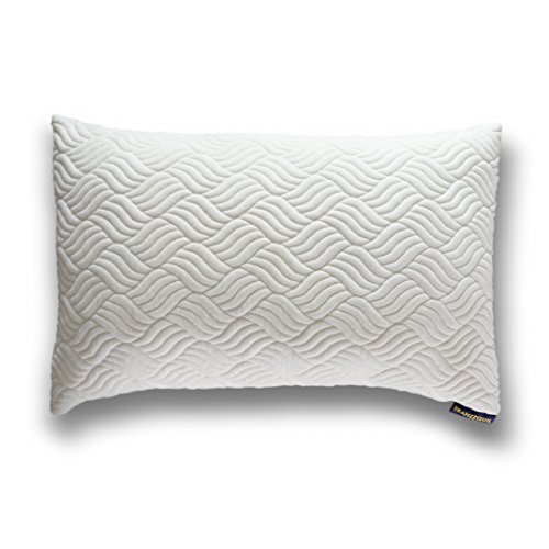Best Back Sleeper Pillows (2022 Reviews) Sleeplander