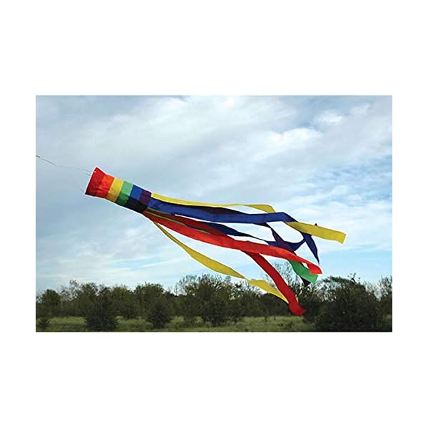 Premier Kites Rainbow Column Windsock 60 in.