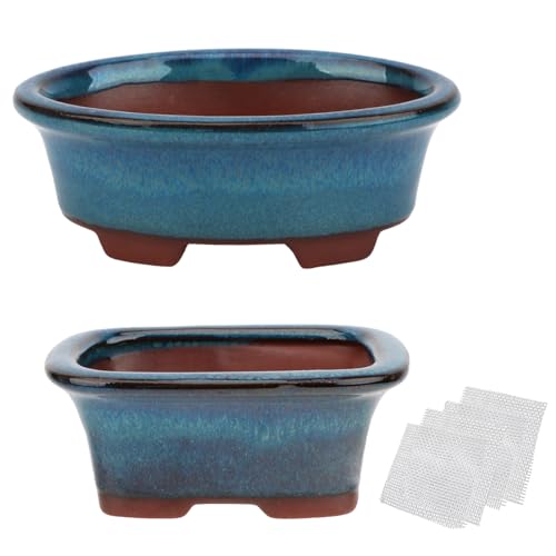Bonsai Planter Succulent Small Glazed Pots, Value Set of 2 + 4 Soft Mesh Drainage Screens