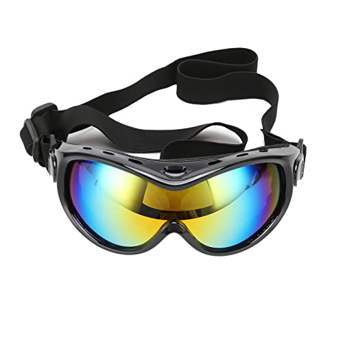 Lunettes de soleil de gros chien pour stopper les irritations oculaires liées au vent