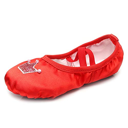 HROYL Cute Ballet Shoes Satin Ballet Slippers,Suitable for Toddler Little Big Girl,TJ-HGballet