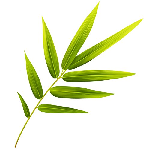 Logona cosmetici naturali mattierendes giorno