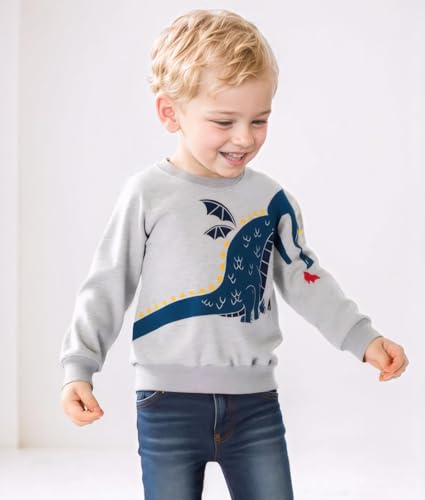Image of Popshion Toddler Boys Sweatshirts Dinosaur Long Sleeve Pullover Crewneck Shirts Cartoon Tee Sport Tops for Kids 1-8T