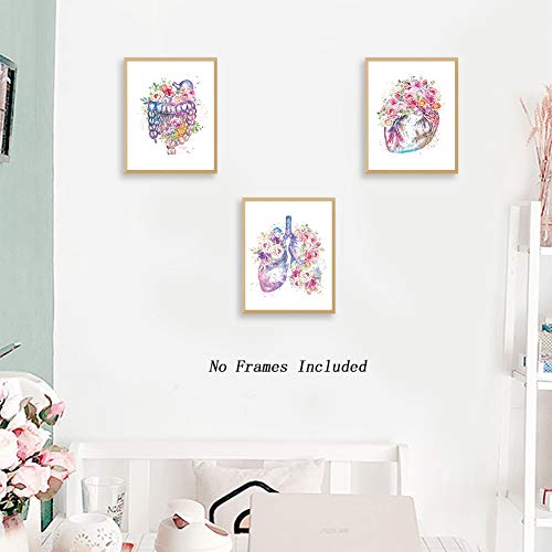 Chditb Unframed Flowers Skeletal Wall Art Print, Human Organs Art Printing, Body Anatomy Art Posters Abstract Anatomy Viscera Skull Wall Decor thumb #4