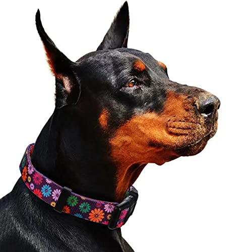 Rhea Rose Girl Dog Collars Fall Daisy Pattern, Colorful Flowers Print, Female Collar, Dark Purple, Large - Image 7