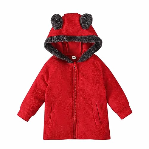 Fleece Bear Ears Hooded Coat for Toddler Girls Zip Up Solid Color Soft Brushed Jacket Kids Boys Thick Warm Outwear