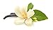 Geti Beauty Vanilla Coconut Musk Eau de Perfume Spray for Women 3.3oz/100ml - Long-Lasting Sweet Fragrance with Warm Vanilla Notes & Coconut Essence - Luxurious Scent for All-Day Wear