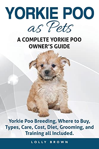 What are the Best  diet for a yorkie -Buying Guide