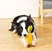 Acecy Hundespielzeug, Kauspielzeug Hund Fast Unzerstörbar, Quietschend Hunde Spielzeug Für Welpen Mittelgroße und Große, Gummi Gehörnte Melone Dog Toys