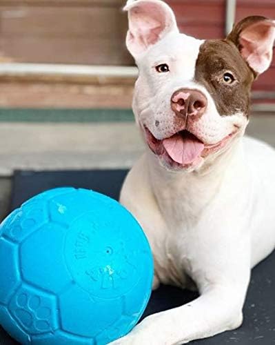 Jolly Pets Jolly Pets Dog Jolly Soccer Ball Toy Dog Toy for Pets 8 inch Ocean Blue