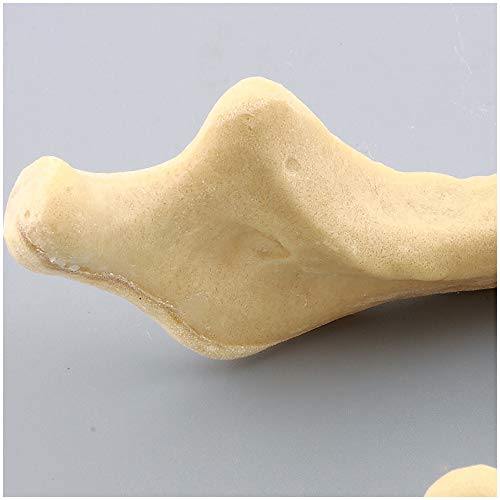 Modèle d'implant mandibulaire : formation au forage sans risque