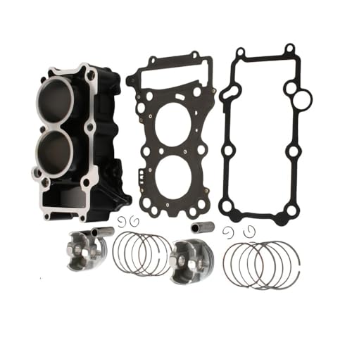 Bloque de Cilindro Yamaha MT-25 YZF R25 Evita Humo y Gasto de Aceite 1